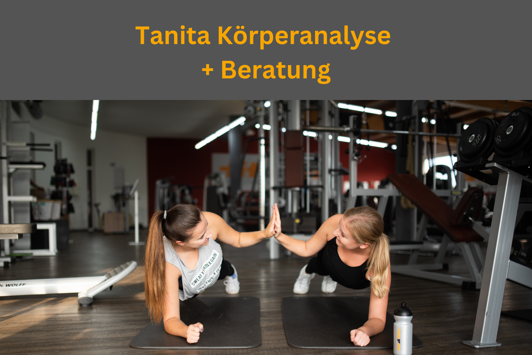 Tanita Körperanalyse + Beratung